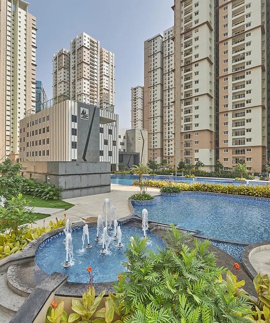 avatar Prestige Golden Grove