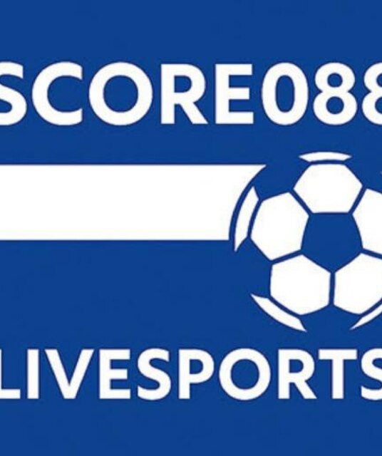 avatar Livesports088 VC