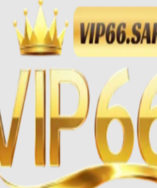 avatar Vip66 sarl