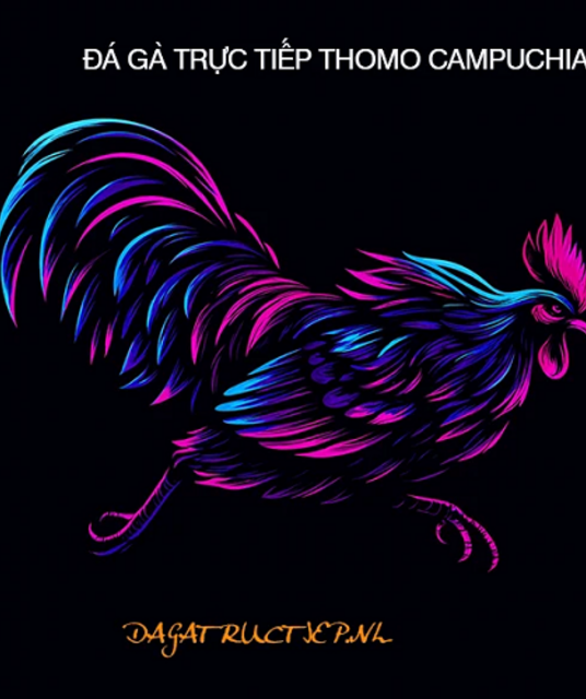avatar ĐÁ GÀ TRỰC TIẾP THOMO CAMPUCHIA Full HD HÔM NAY