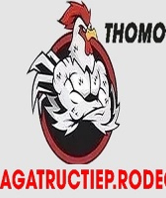avatar Đá gà trực tiếp