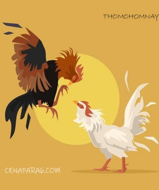 avatar ĐÁ GÀ TRỰC TIẾP