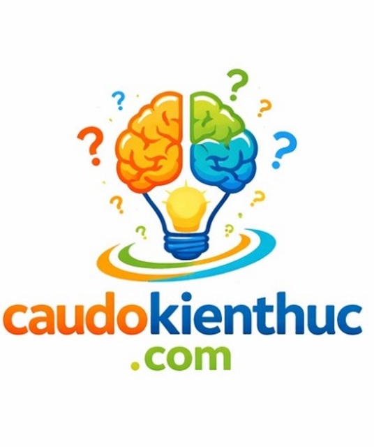 avatar Câu Đố Kiến Thức