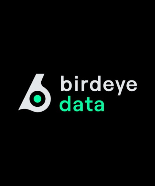 avatar Birdeye Data