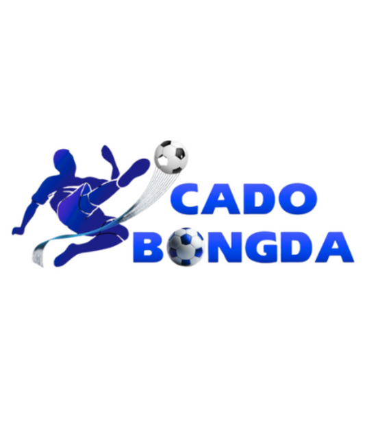 avatar CÁ ĐỘ BÓNG ĐÁ