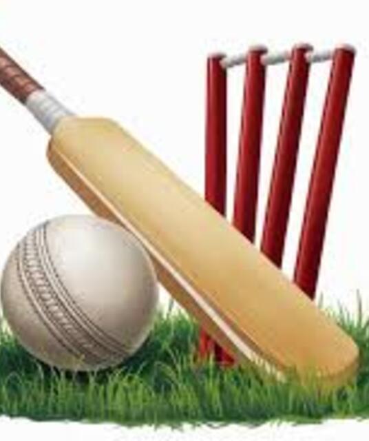 avatar Quick Cricket ID