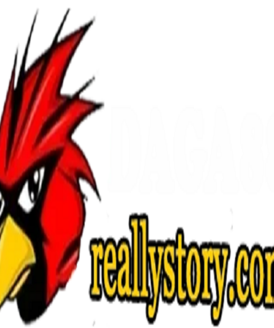 avatar ĐÁ GÀ 88 ĐÁ GÀ TRỰC TIẾP REALLYSTORY