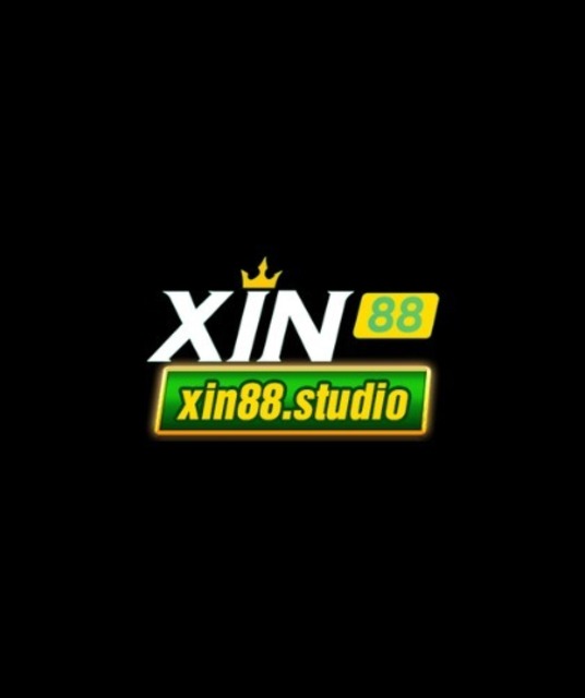 avatar Xin88 studio