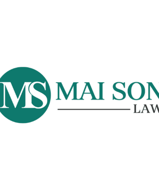 avatar Luật Mai Sơn - Luật sư Long