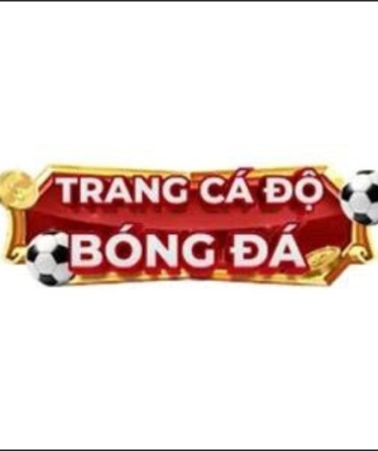 avatar Trang Cá Độ Bóng Đá