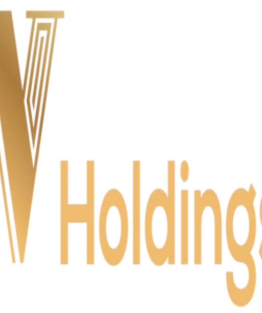 avatar Vㅤ Holdings