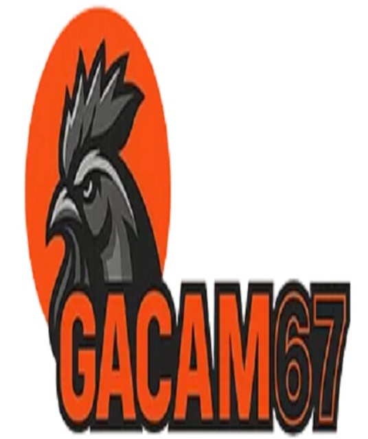 avatar gacam67 ringger