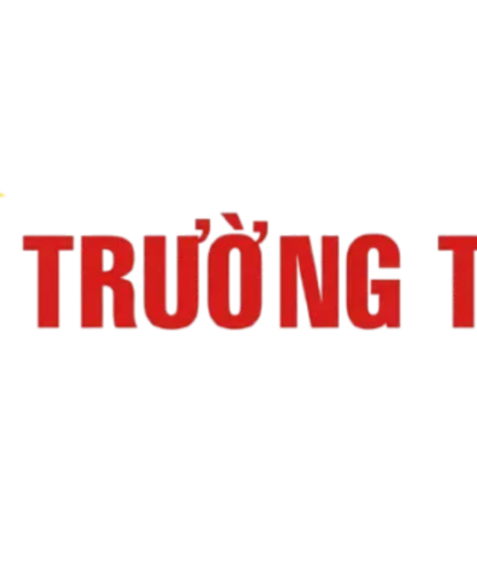 avatar Trường Thịnh Telecom