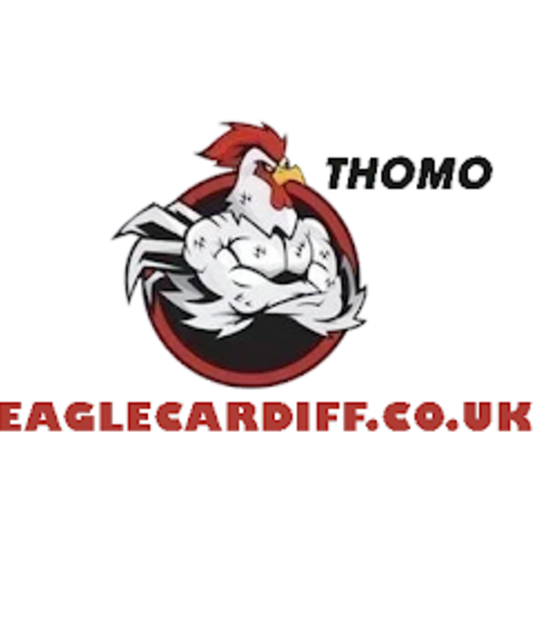 avatar ĐÁ GÀ TRỰC TIẾP VIN eaglecardiff