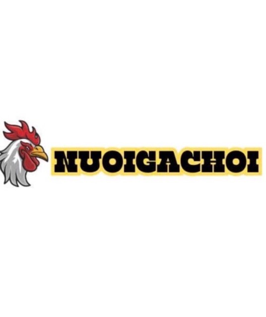 avatar Nuôi Gà Chọi - Nuoigachoi
