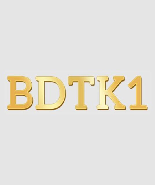 avatar BDTK1