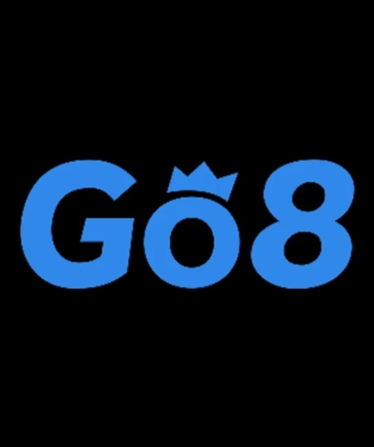 avatar CEO Go8 Nguyễn Hữu Dinh