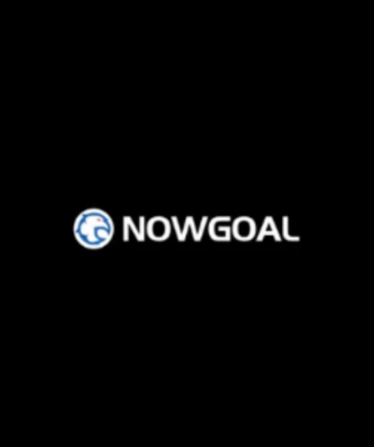avatar Nowgoal capital