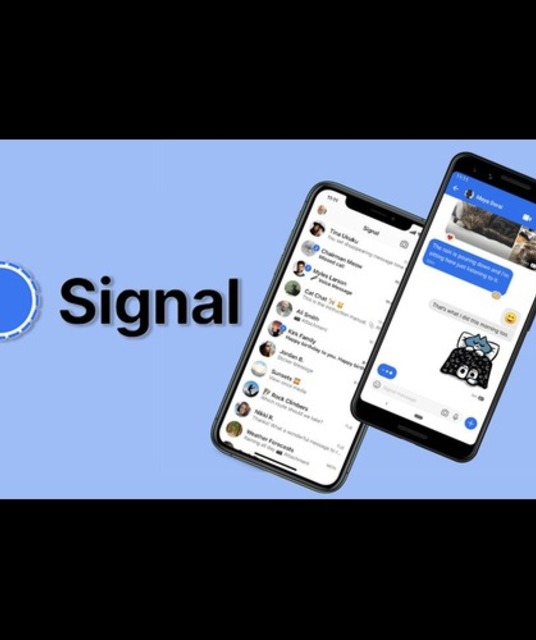 avatar im signal