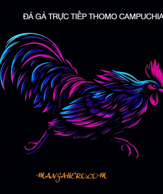 avatar ĐÁ GÀ THOMO