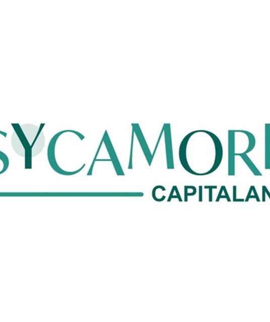 avatar Sycamore Capitaland Bình Dương