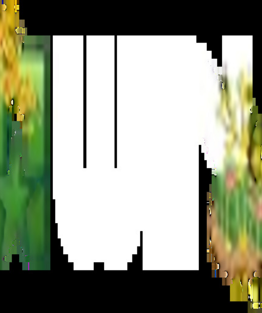 avatar Nhà cái 11WIN