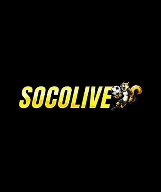 avatar Socolive Design