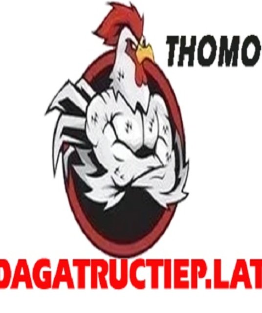 avatar Đá Gà Trực Tiếp