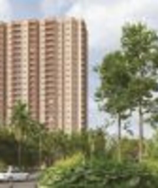 avatar Purva Northernlights