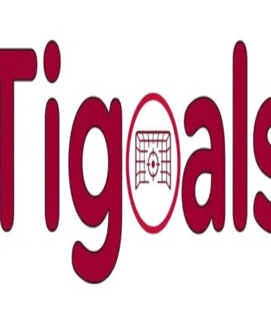 avatar Tigoals Streaming Bola Gratis