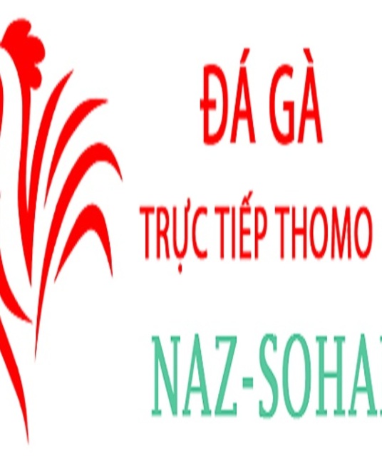 avatar Đá Gà Trực Tiếp Thomo