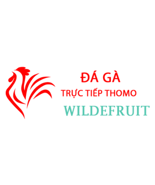 avatar Đá Gà Trực Tiếp Thomo