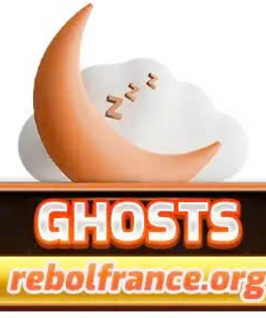 avatar Rebol France