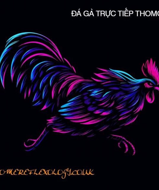 avatar ĐÁ GÀ TRỰC TIẾP THOMO CAMPUCHIA Full HD HÔM NAY