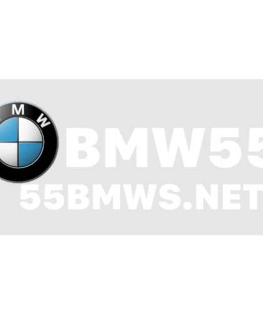 avatar Bookmaker 55BMW