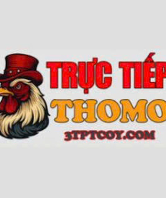 avatar ĐÁ GÀ TRỰC TIẾP THOMO HÔM NAY