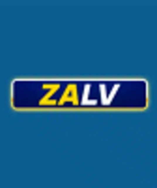 avatar Zalv city