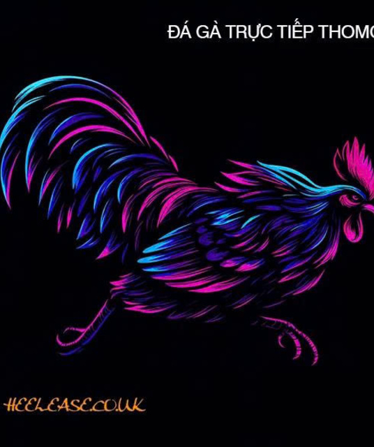 avatar ĐÁ GÀ TRỰC TIẾP THOMO CAMPUCHIA Full HD HÔM NAY