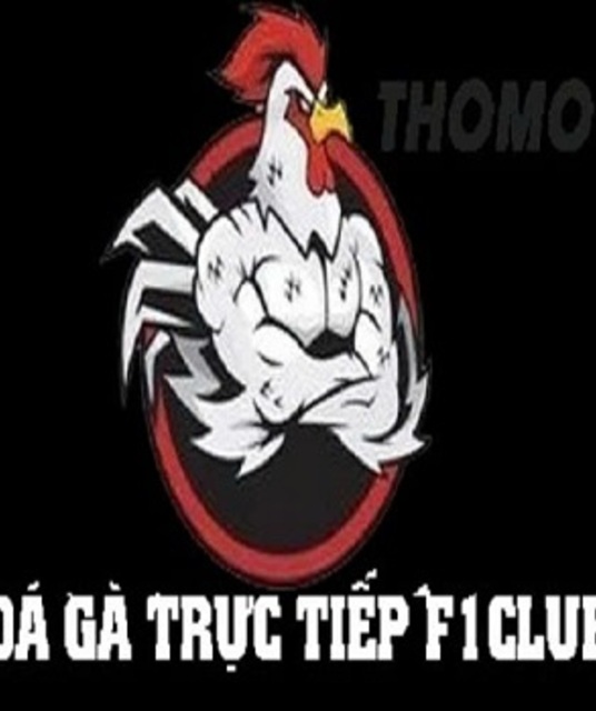 avatar ĐÁ GÀ TRỰC TIẾP CAMPUCHIA GÀ THOMO HÔM NAY