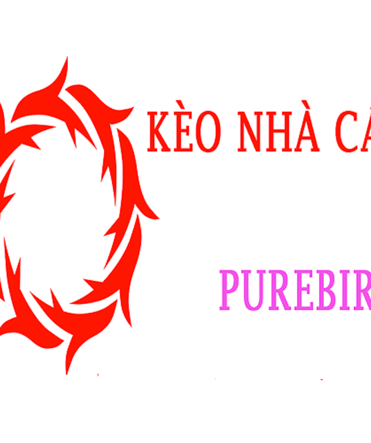 avatar Kèo Nhà Cái