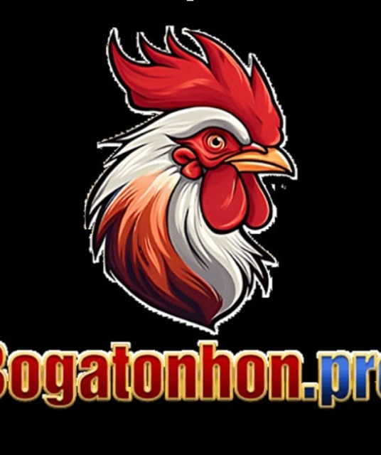 avatar Bồ gà Tonhon