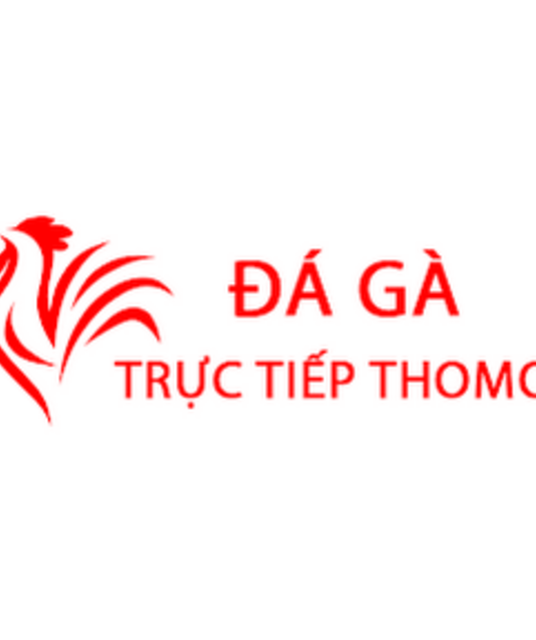 avatar Đá Gà Trực Tiếp Thomo Hôm Nay