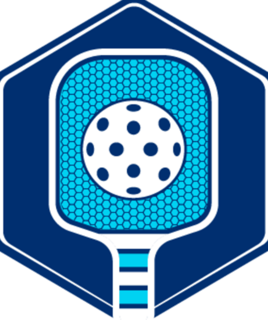 avatar Permanent Pickleball Net