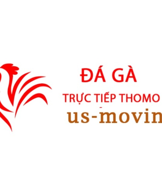 avatar Đá Gà Trực Tiếp Thomo Hôm Nay