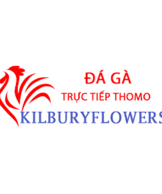 avatar Đá Gà Trực Tiếp Thomo