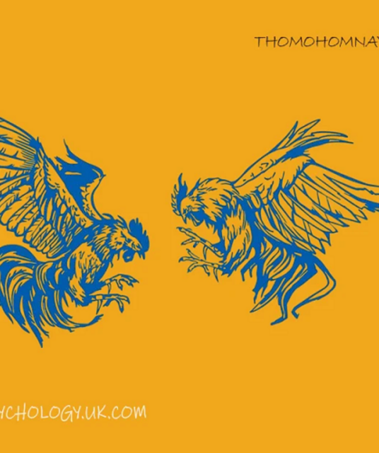 avatar thomohomnay TRỰC TIẾP ĐÁ GÀ THOMO