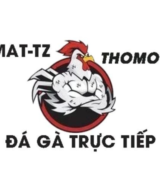 avatar XEM ĐÁ GÀ TRỰC TIẾP