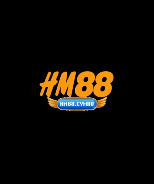 avatar Hm88