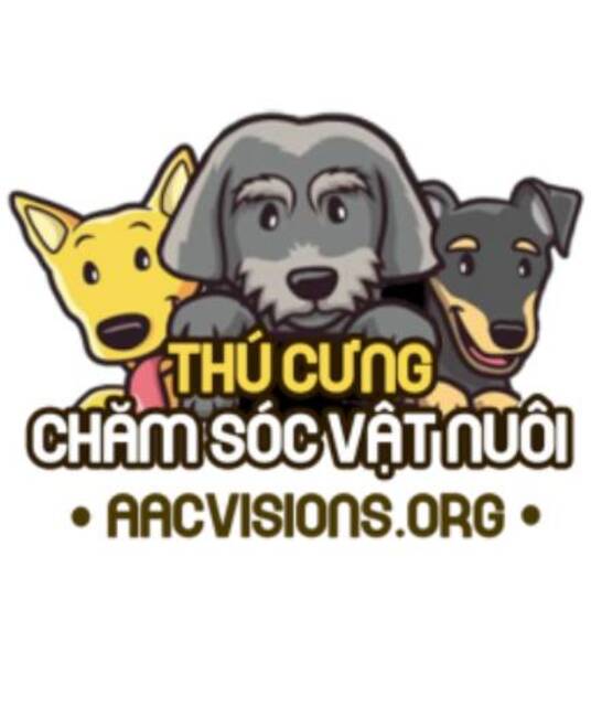 avatar Bí quyết chăm sóc thú cưng