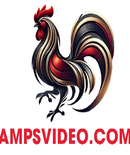 avatar ĐÁ GÀ TRỰC TIẾP THOMO